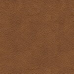 1aaf1ecc-175a-49a1-80f4-6bed64a2c356