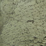 8ed45060-5987-4aa1-9d3f-f7f5f0878fb8