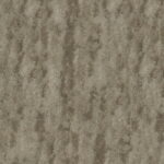 f981e700-e44e-4a10-aa10-825a97589f89