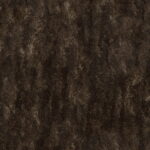 f981e700-e44e-4a10-aa10-825a97589f89