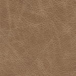 558755f5-e948-4d14-bfa7-e295dff9fa55