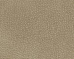 682d8ad4-06fc-48e7-8352-403a06c4e424