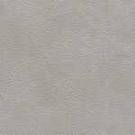 e4103776-4a0e-46dc-82a3-48b1a8082a22