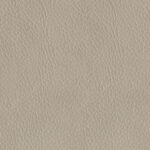 ba455db2-1f39-481a-819d-7c0e33023b97