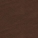 125e6c47-b903-4d76-bb0a-82dc260e2beb